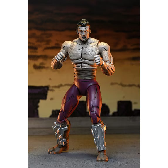NECA - Teenage Mutant Ninja Turtles (Mirage Comics) - 7" Scale Action Figure - Worms of Madness Shredder 2 Pack